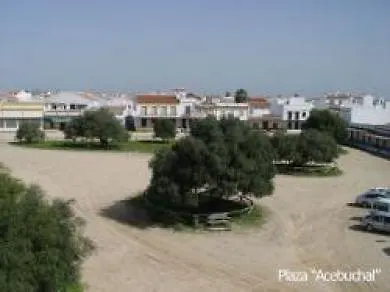 Hotel Toruno Del Rocio 2*