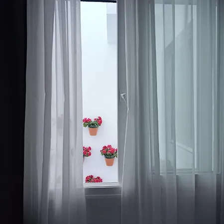 ホテル Toruno Del Rocio